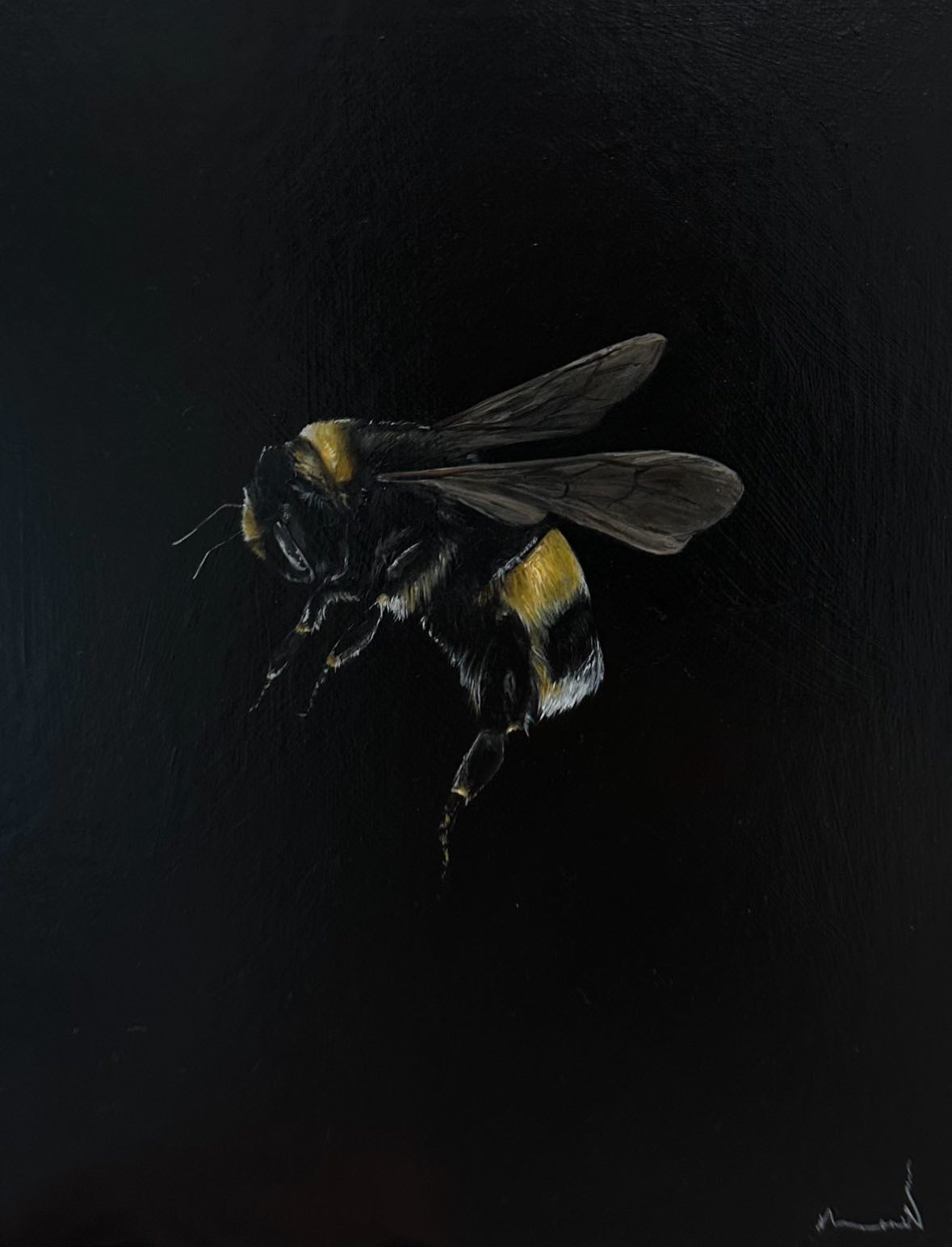 Monique Correy - The Queen