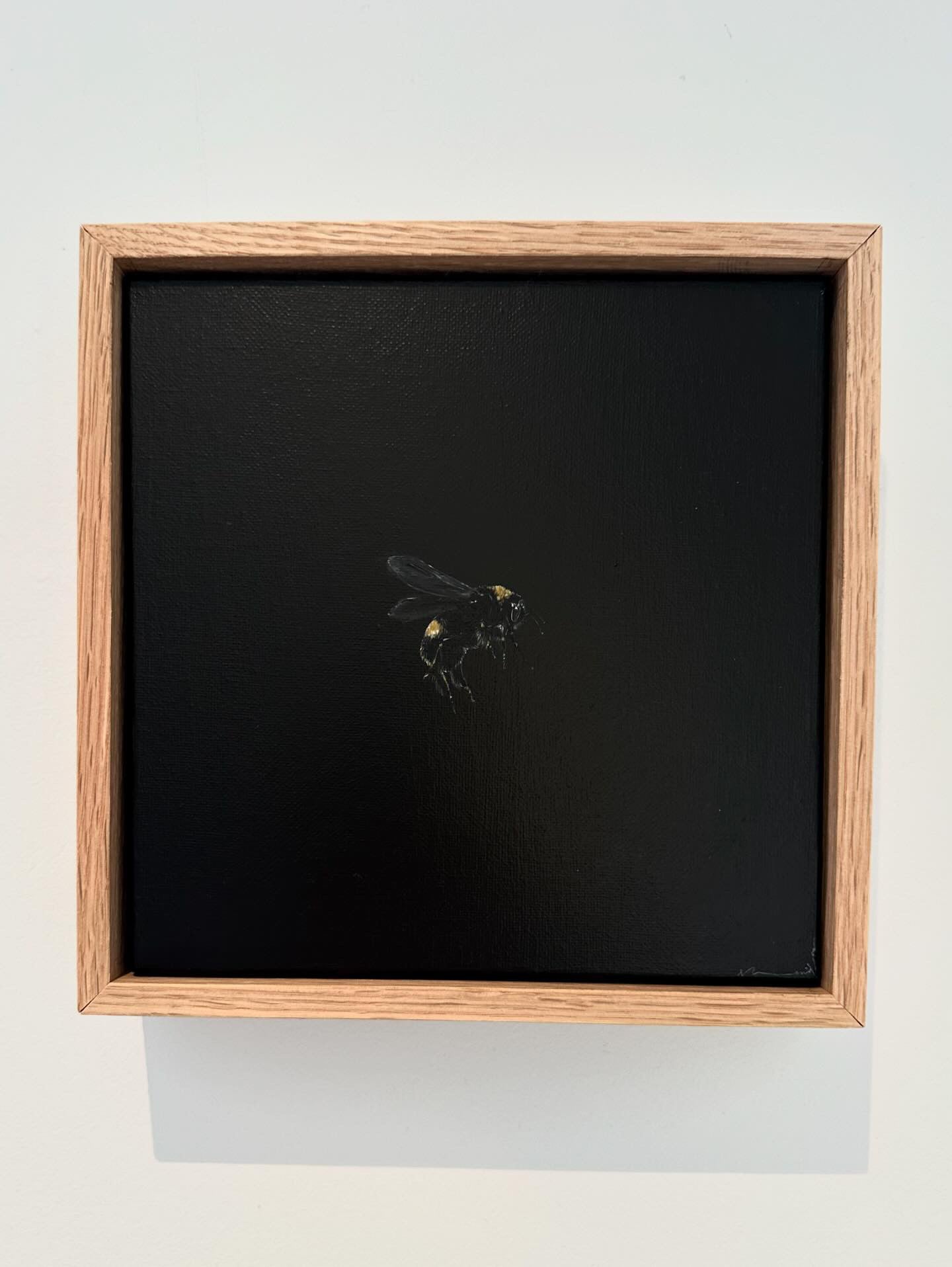 Monique Correy - Cuddles