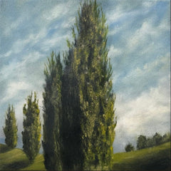 Kelly Kondis - Where Shadows Folded