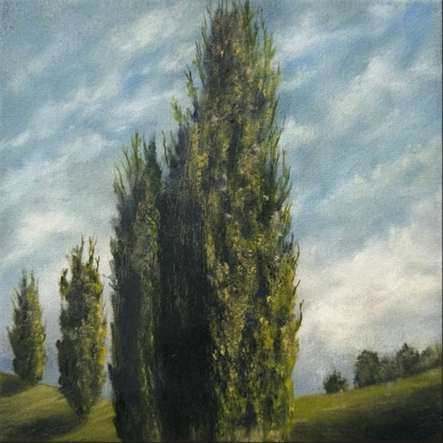 Kelly Kondis - Where Shadows Folded