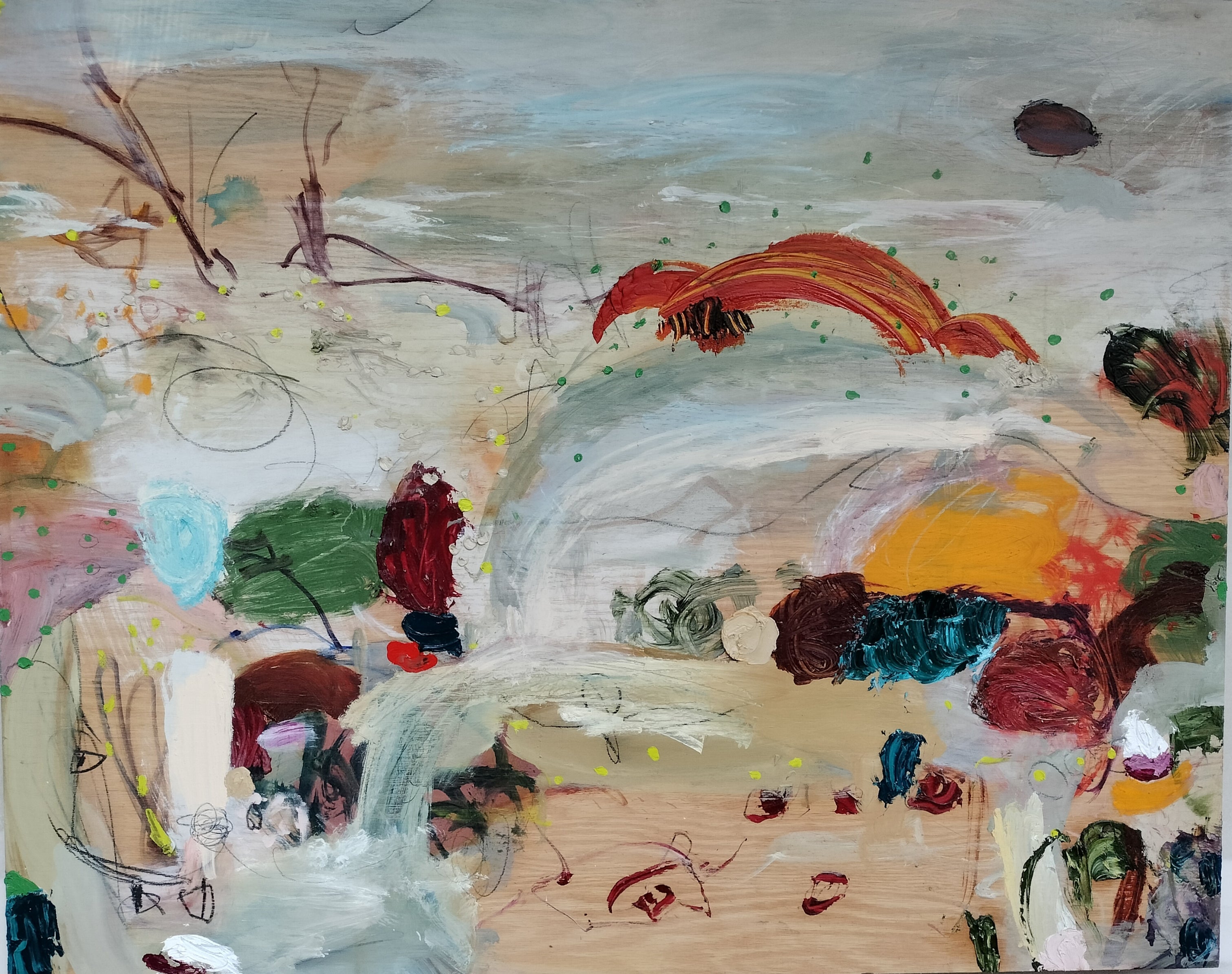 Raphe Coombes - Macintyre falls, Kwiambal National Park