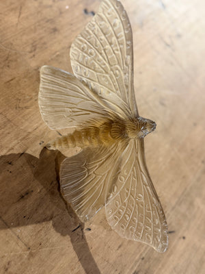 Luke Jacomb Studio - Moth (Wings Out - Bronze)