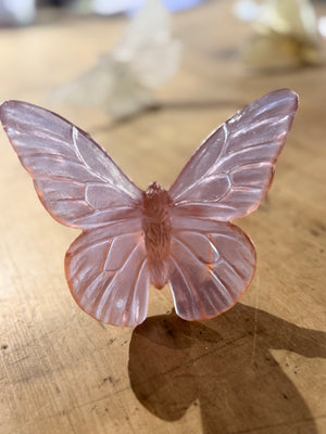 Luke Jacomb Studio - Classic Butterfly Monarch (Rose)