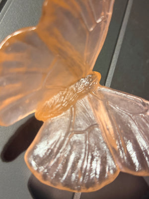 Luke Jacomb Studio - Classic Butterfly Admiral (Peach)