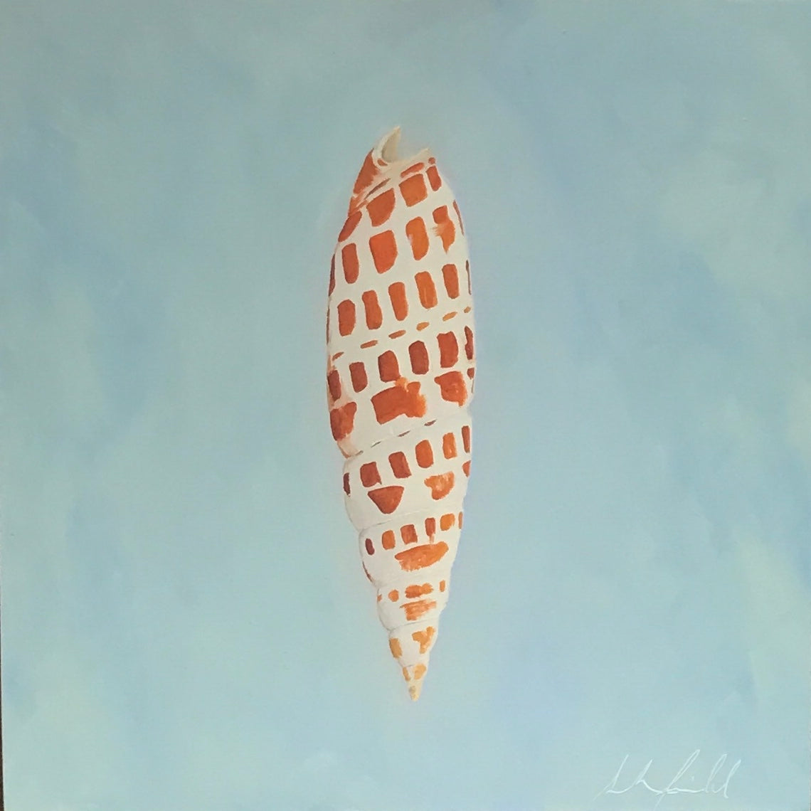 Sarah Field - Shell on blue