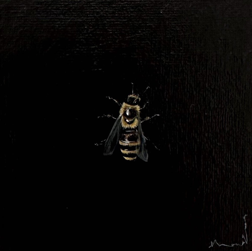 Monique Correy - Flush