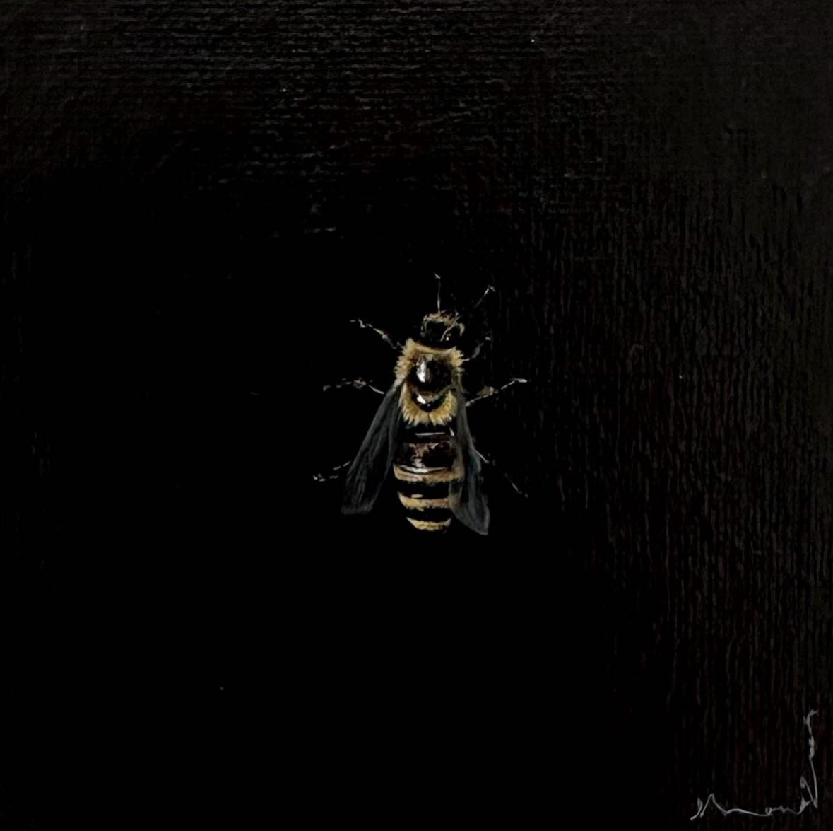 Monique Correy - Flush