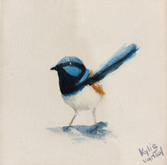 Kylie Van Tol - Mini Wrens 1