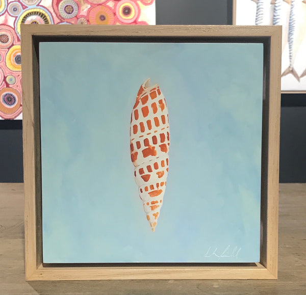 Sarah Field - Shell on blue