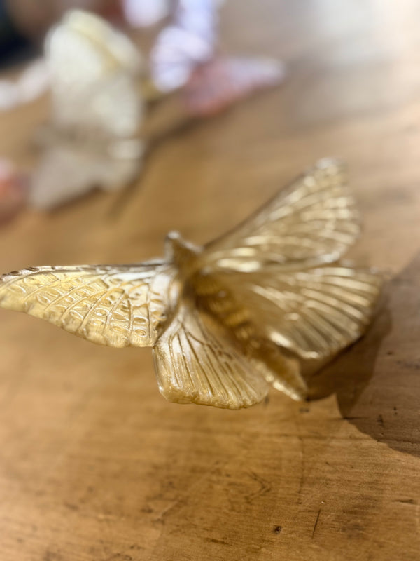 Luke Jacomb Studio - Moth (Wings Out - Bronze)