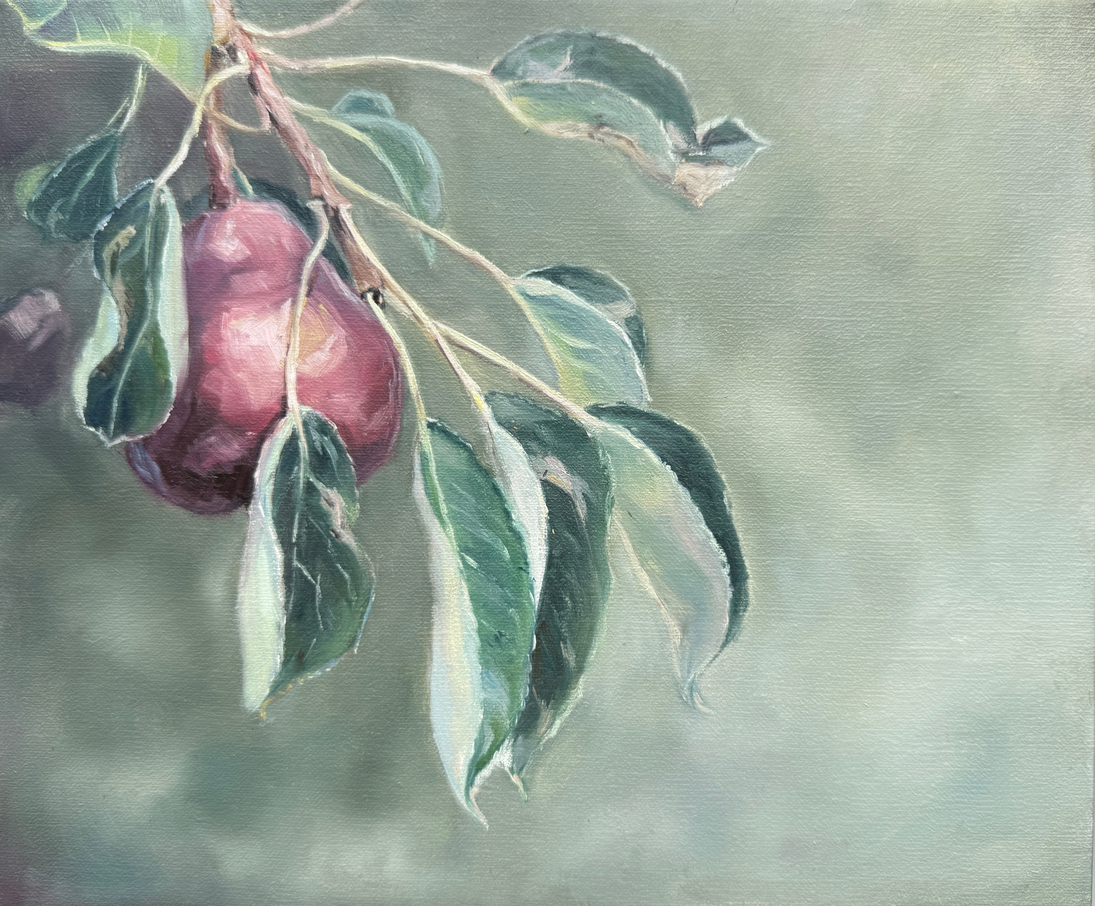 Eva Stockdale - Solitaire Pear on Branch