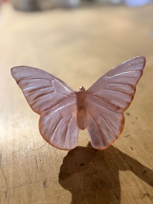 Luke Jacomb Studio - Classic Butterfly Admiral (Rose)