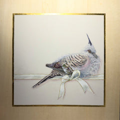 Shani White - A Rested Crested Pigeon