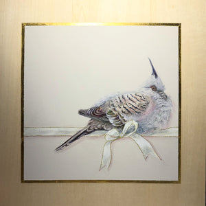 Shani White - A Rested Crested Pigeon