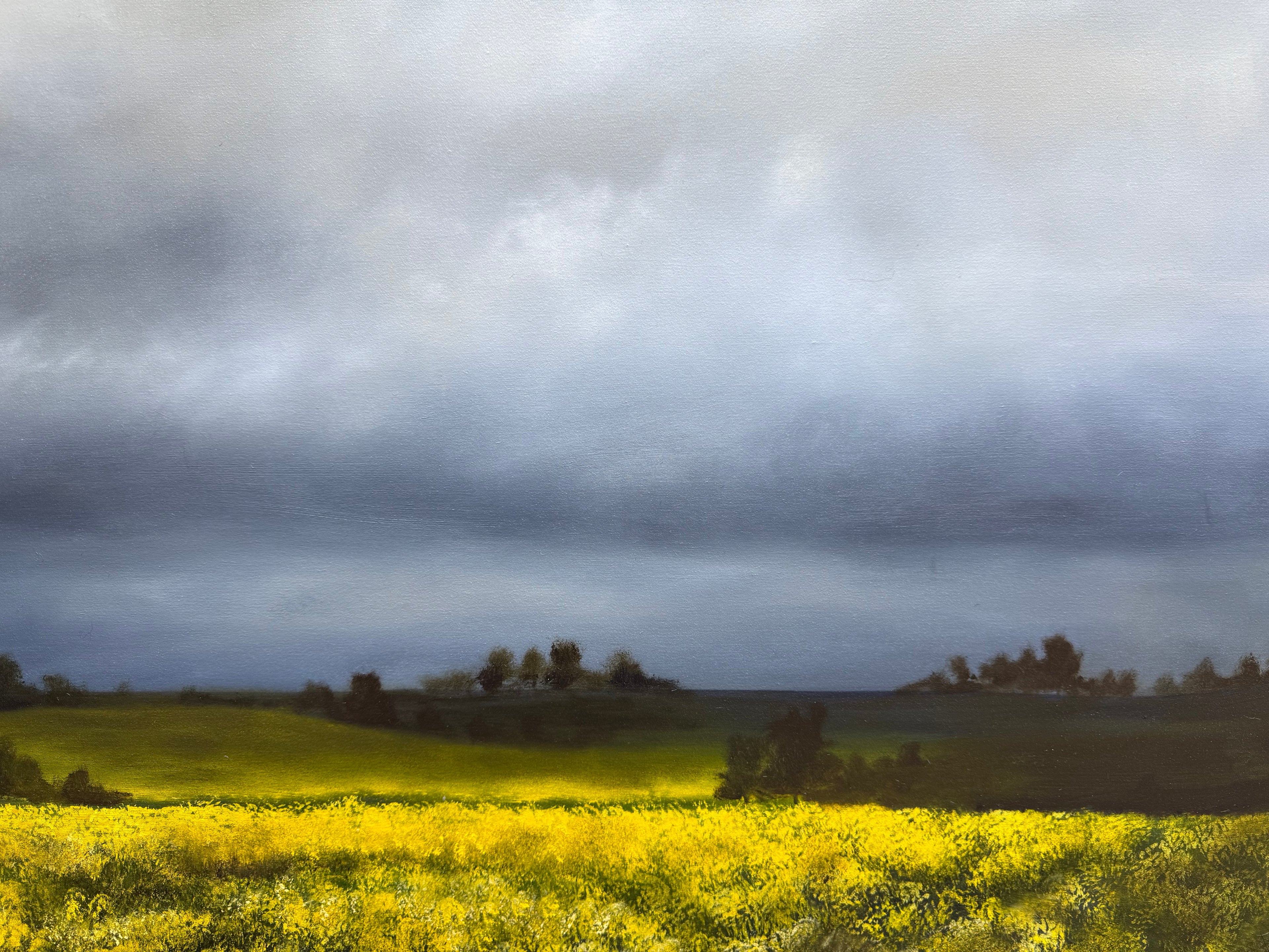 Kelly Kondis - Meraki