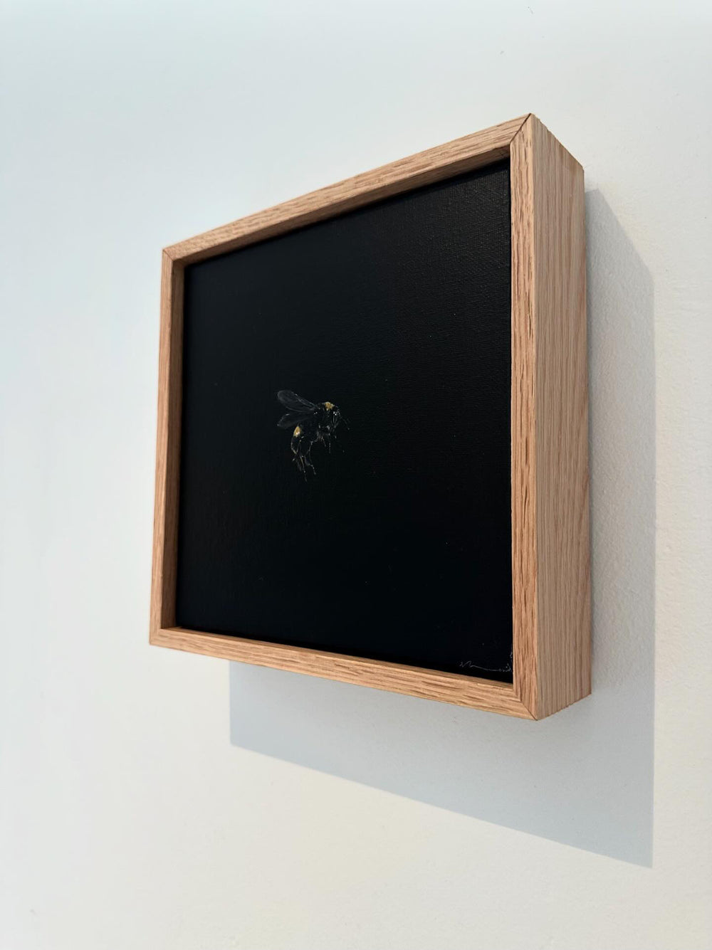 Monique Correy - Cuddles