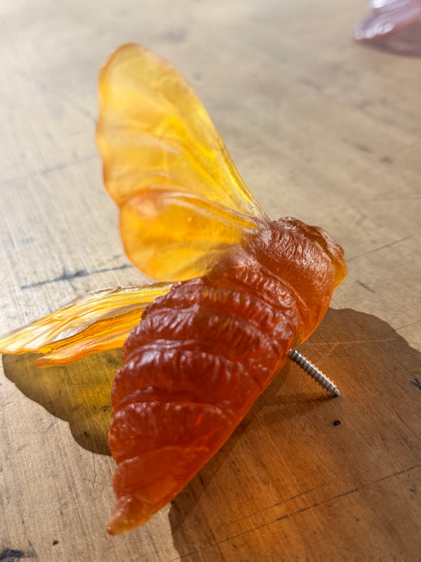 Luke Jacomb Studio - Bee (Orange)