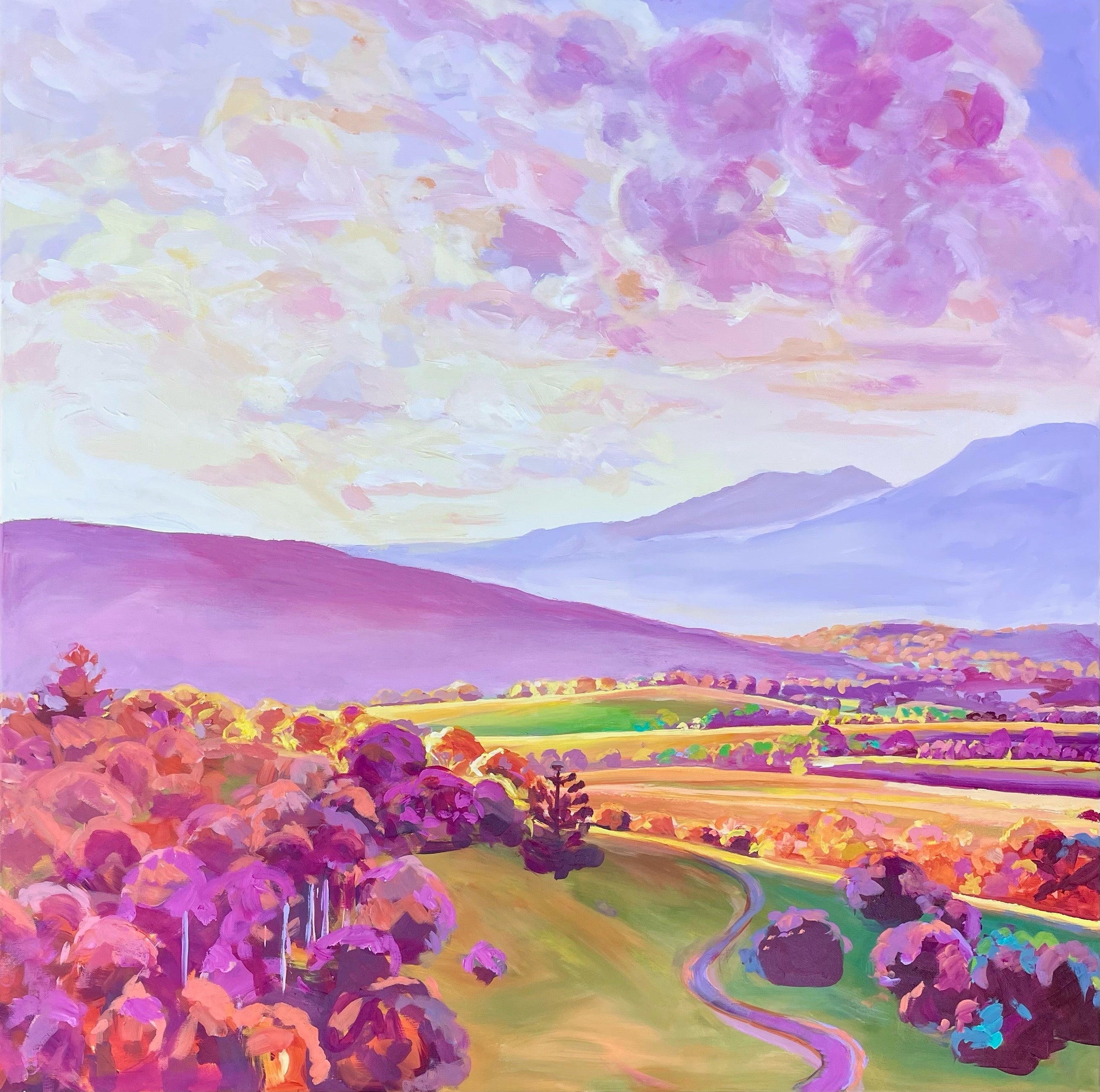 Katherine Cusack - Sleepy Rays, Uki NSW