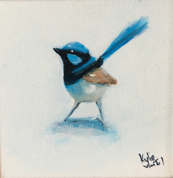 Kylie van Tol - Blue Wren 5
