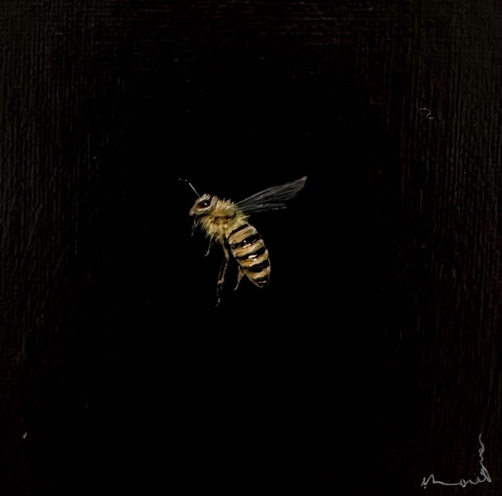 Monique Correy - The Princess