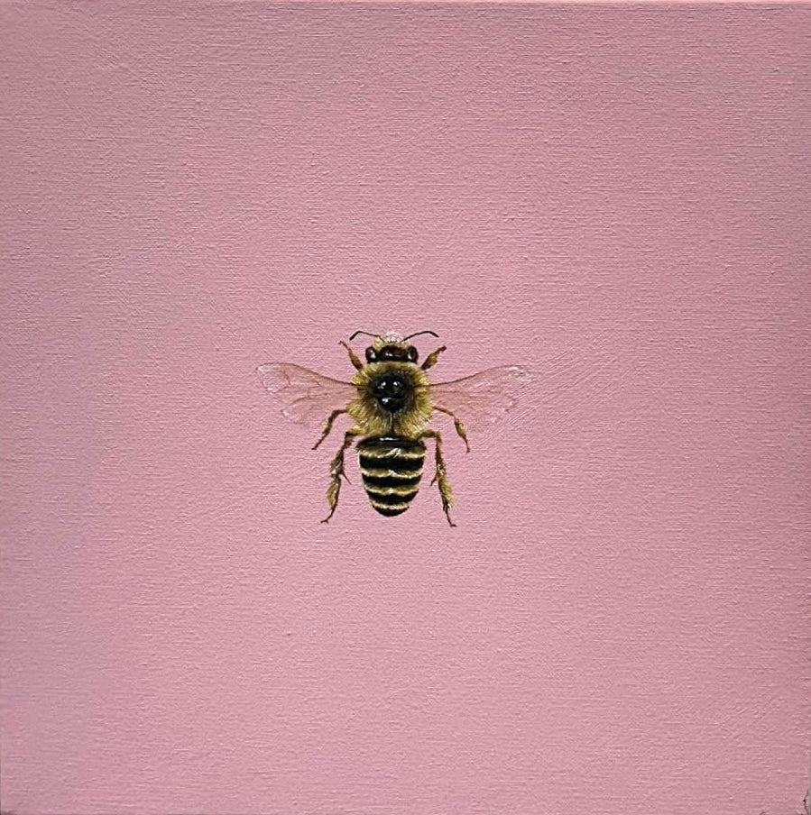 Monique Correy - Bonet