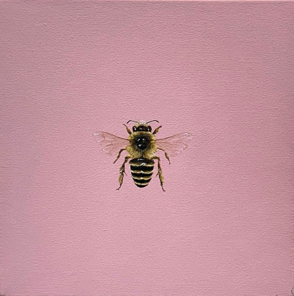 Monique Correy - Bonet