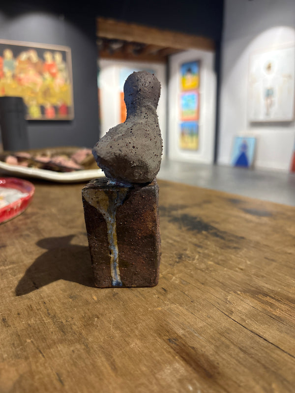 Kalyanii Holden- Duck on Brick