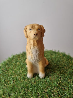 Penny Ruthberg - Nova Scotia commission