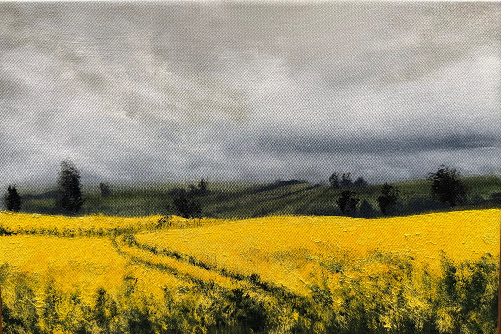 Kelly Kondis - Alacrity