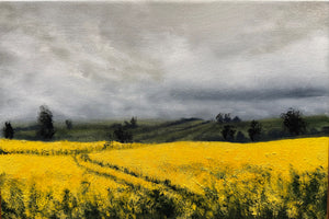 Kelly Kondis - Alacrity