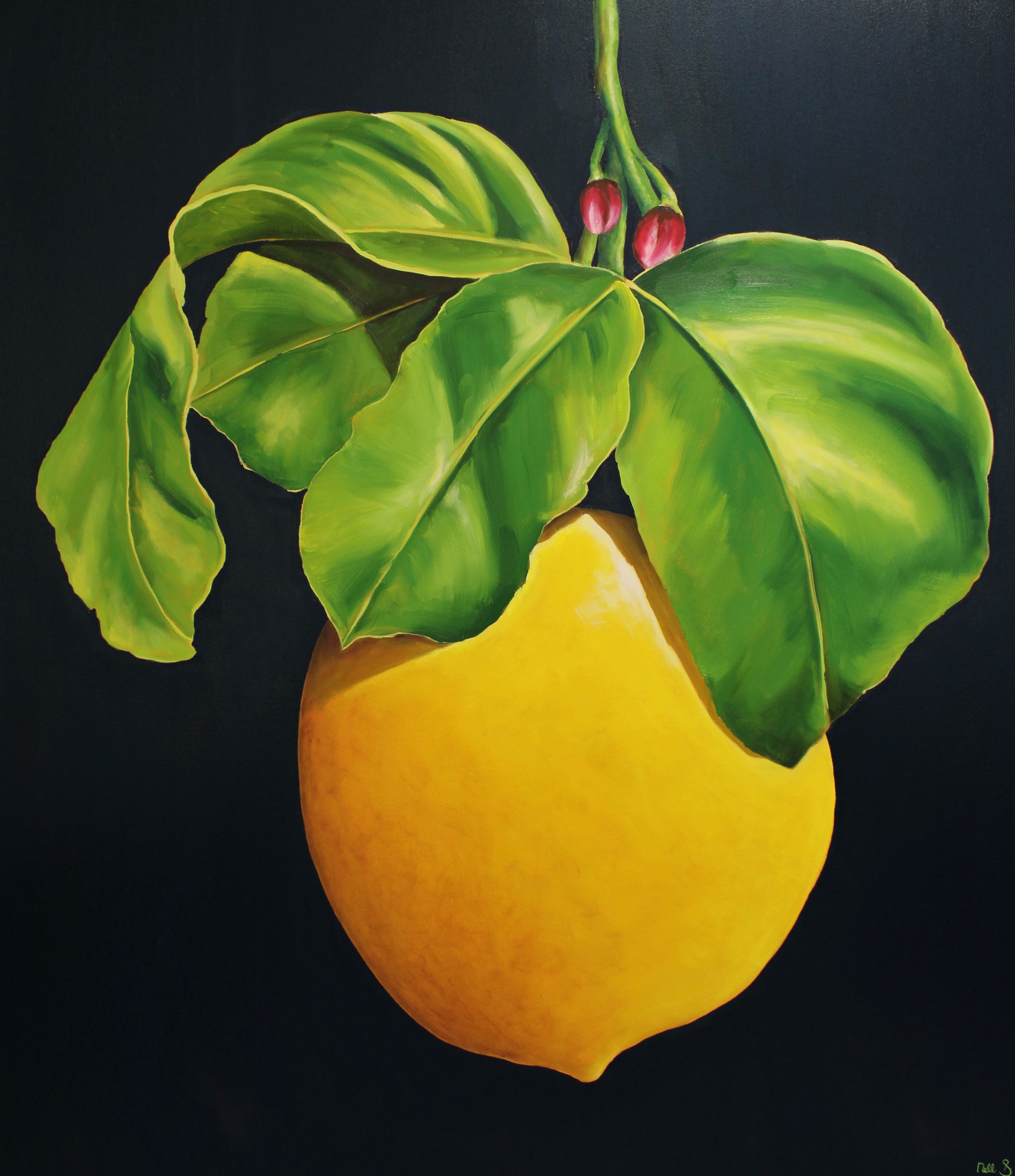 Nell Symonds - Amalia