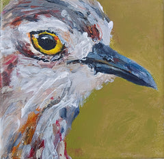 Anna Davi - Close Up Curlew