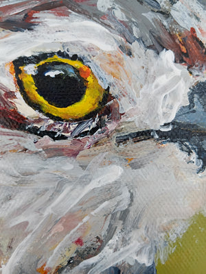 Anna Davi - Close Up Curlew