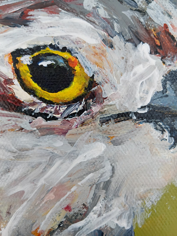 Anna Davi - Close Up Curlew
