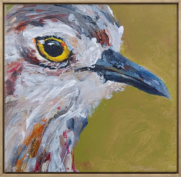 Anna Davi - Close Up Curlew