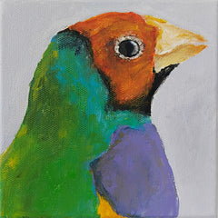 Anna Davi - Rainbow Finch