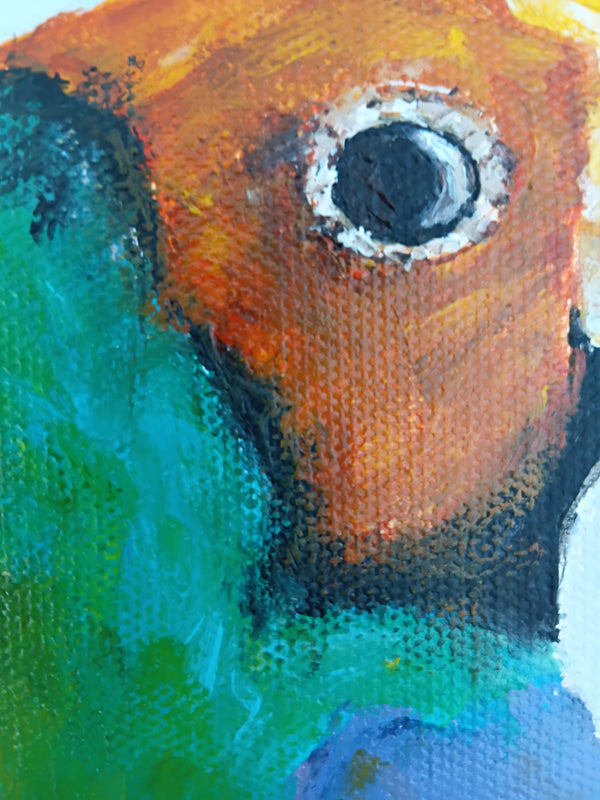 Anna Davi - Rainbow Finch