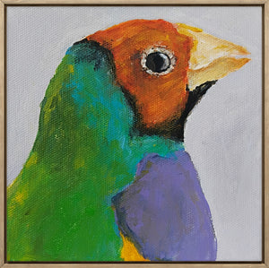Anna Davi - Rainbow Finch