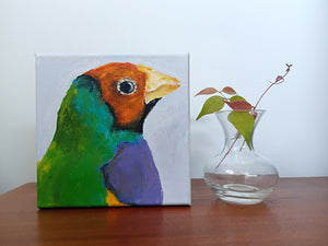 Anna Davi - Rainbow Finch