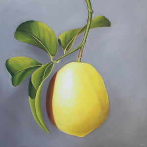 Nell Symonds - Aubusson