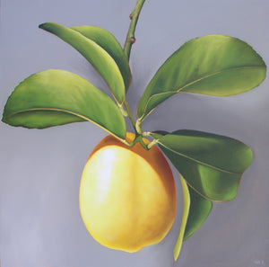 Nell Symonds - Aurillac