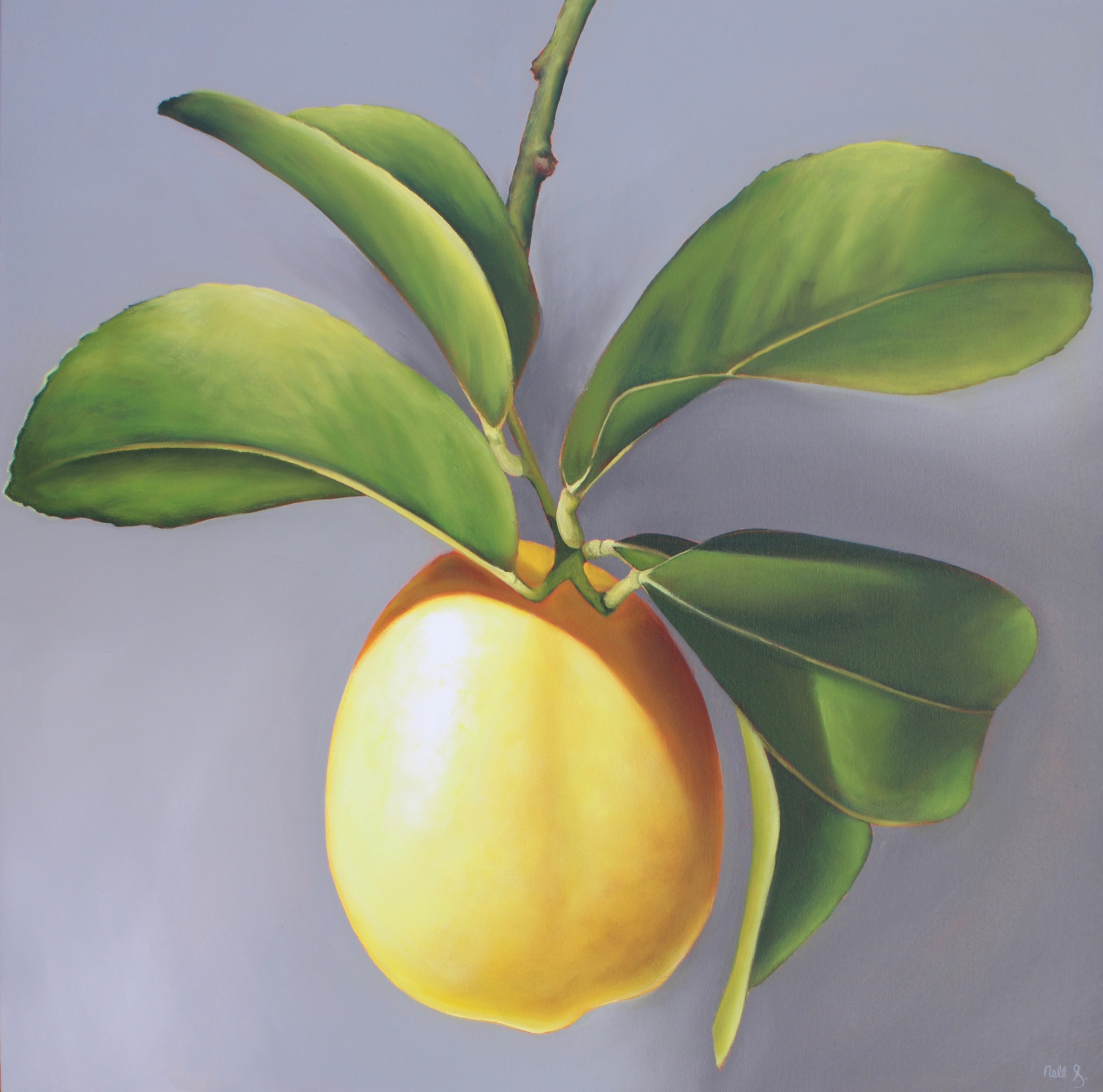 Nell Symonds - Aurillac