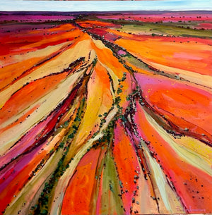 Polly Kimmorley - Australia's Coat of Many Colours