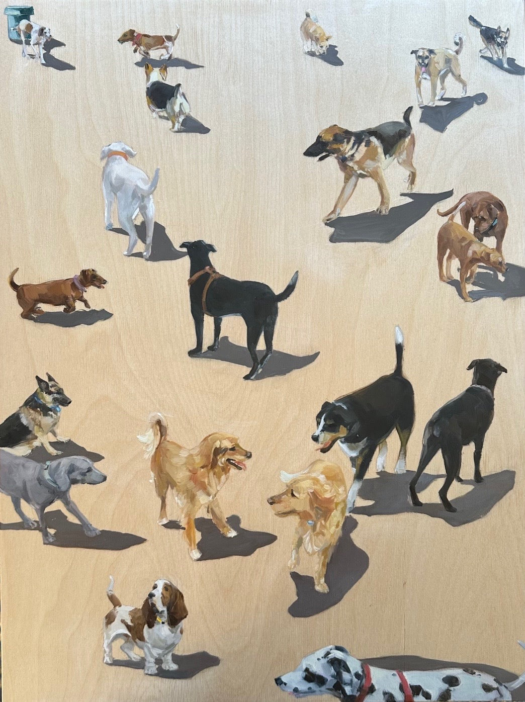 Zory McGrath - Canine Connections #3