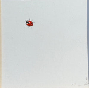 Monique Correy - My Lady