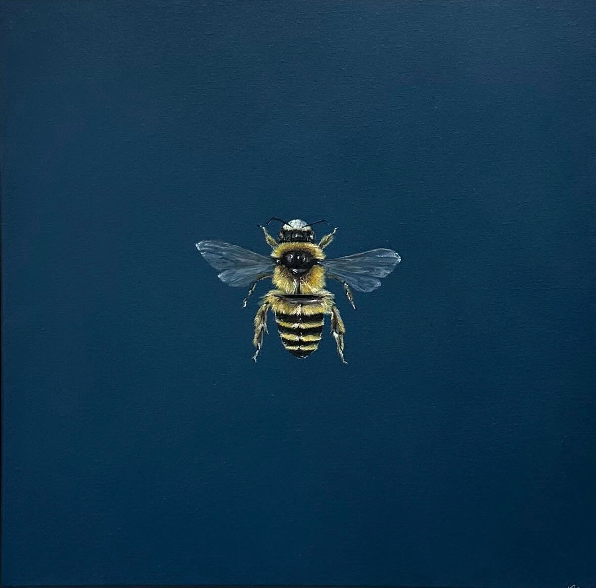 Monique Correy - Carter