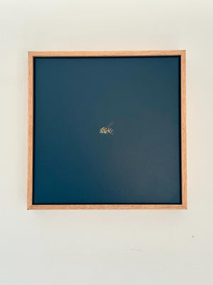 Monique Correy - Fuzz