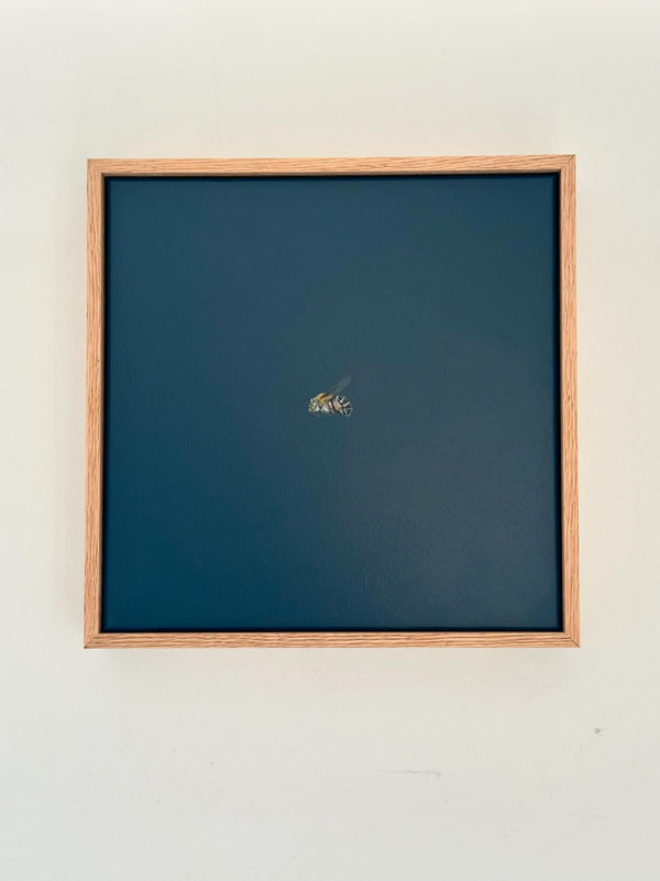 Monique Correy - Fuzz