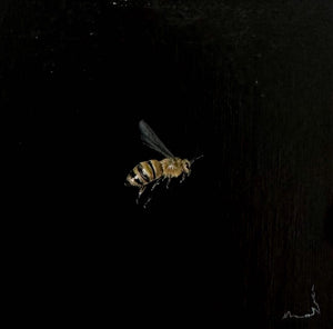 Monique Correy - The Prince