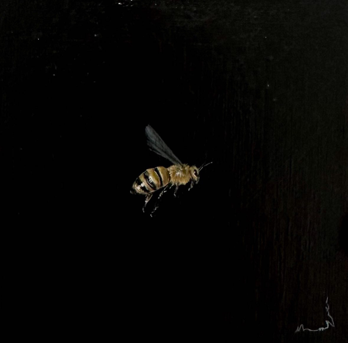 Monique Correy - The Prince